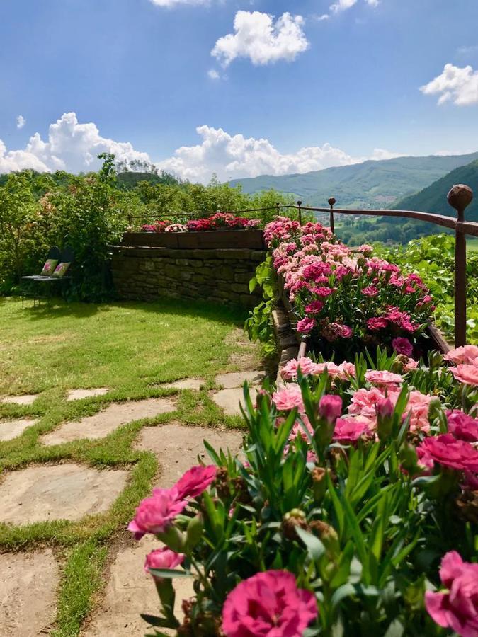 Agriturismo Biologico Castello Della Pieve Mercatello sul Metauro Экстерьер фото