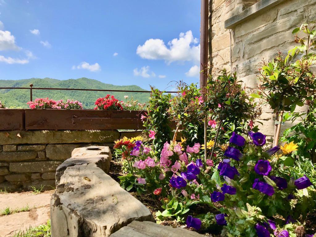 Agriturismo Biologico Castello Della Pieve Mercatello sul Metauro Экстерьер фото